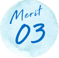 merit03
